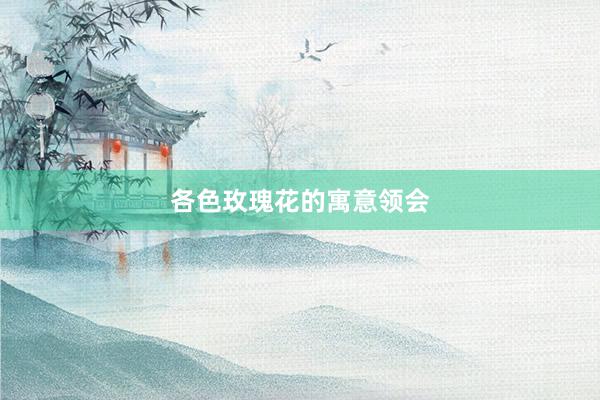 各色玫瑰花的寓意领会