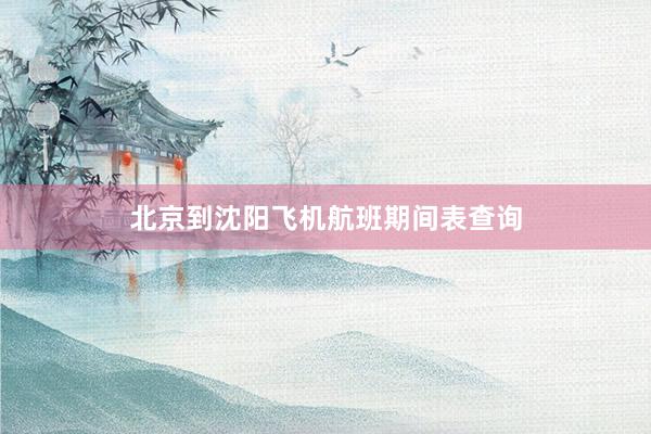 北京到沈阳飞机航班期间表查询