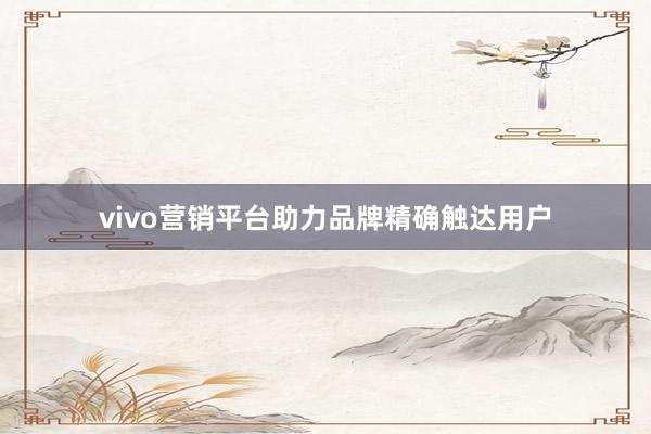 vivo营销平台助力品牌精确触达用户